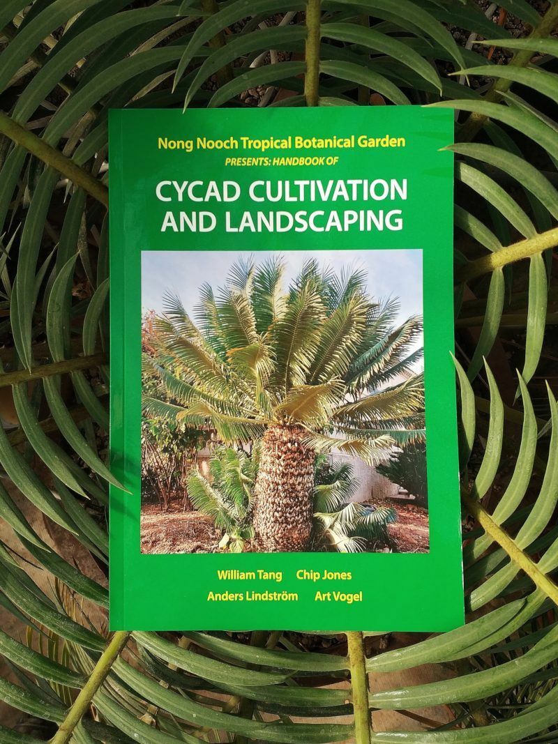Cycad cultivation and landscaping handbook Cycadales